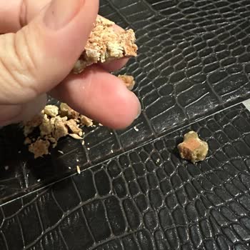 Reflexmama Semi Moist Köpek Ödül Maması Bayat