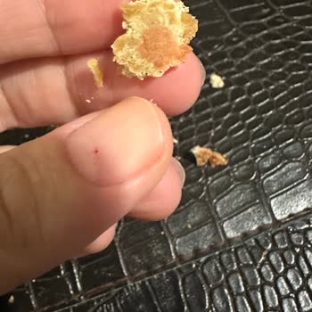 Reflexmama Semi Moist Köpek Ödül Maması Bayat