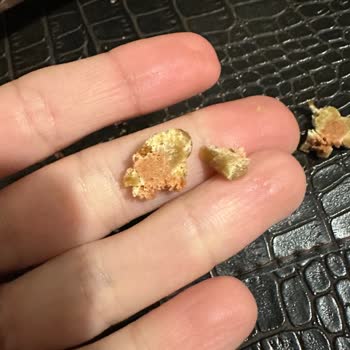 Reflexmama Semi Moist Köpek Ödül Maması Bayat