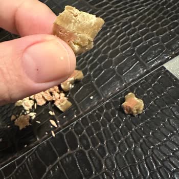 Reflexmama Semi Moist Köpek Ödül Maması Bayat