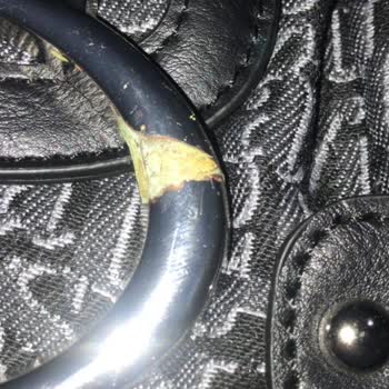 Stradivarius Defolu Ürün Gönderimi