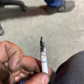Philip Morris Sigara İçindeki 1 Adetten Dal Parçası Çıkması