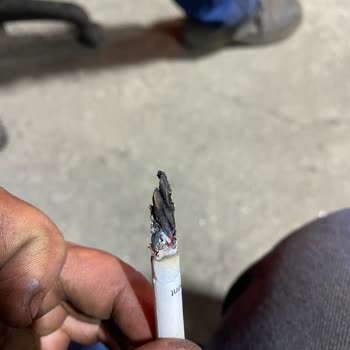 Philip Morris Sigara İçindeki 1 Adetten Dal Parçası Çıkması