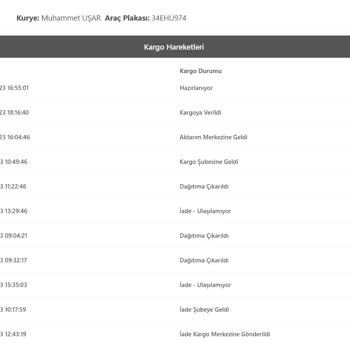 Bir Günde Kargo Teslim Edilmeyen Kargo