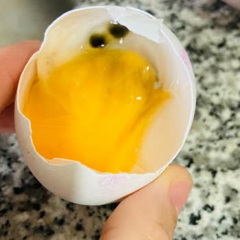 Akuğur AVM Bozuk Yumurta!