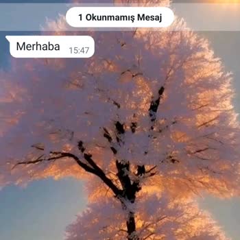 WhatsApp Endonezya'dan Şüpheli WhatsApp Mesajı Ve Güvenlik Endişem
