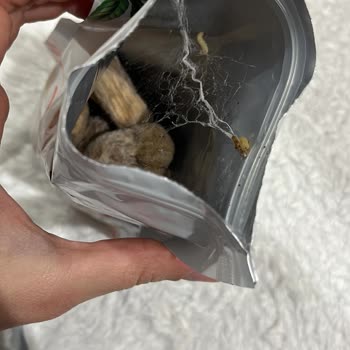 Migros Ürünün Küflü Ve Kurtlu Çıktı