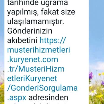 Kuryenet Ürünün Teslim Olmaması