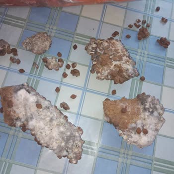 Bonnie Bozuk Ürün Satışı