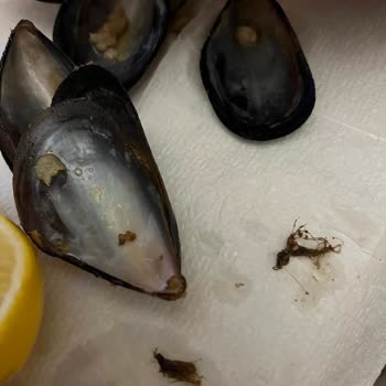 Midyeci Ahmet Kime Göre Hijyenik Güzel Ve Meshur?