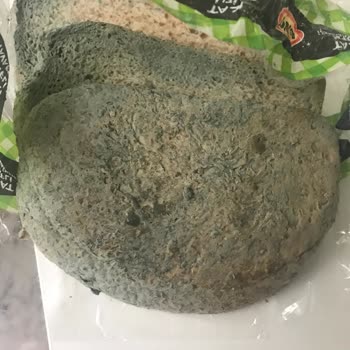 UNO'dan Küflü Ekmek Hayal Kırıklığı