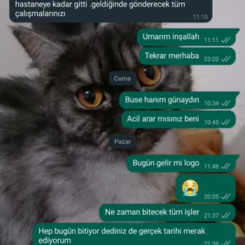 Değer Medya İle Yaşanan Hizmet Ve Ücret İade Sorunu