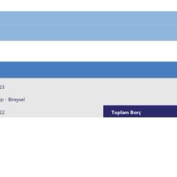 Denizbank E Devletten Görünen Borç