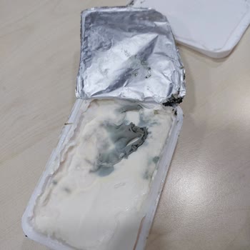 Bahçıvan Labne: Açılmamış Paket Küf İçinde