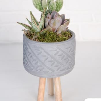 Çiçek Sepeti Sipariş İle Alakasız Çöp Ürün Gönderdi