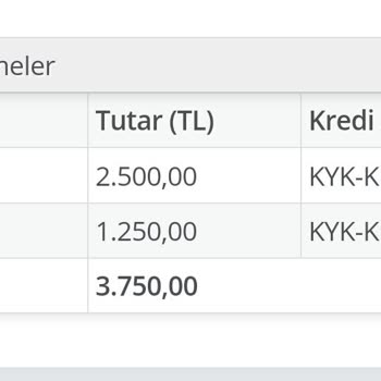 Kredi ve Yurtlar Kurumu Kredi Bursum Yattı Gözüküyor Fakat Hesabıma Yatmadı.