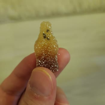 Haribo Jelibonun İçinde Böceğe Benzeyen Şeyler