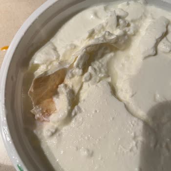 Sek Yoğurttan Çıkan Cisim