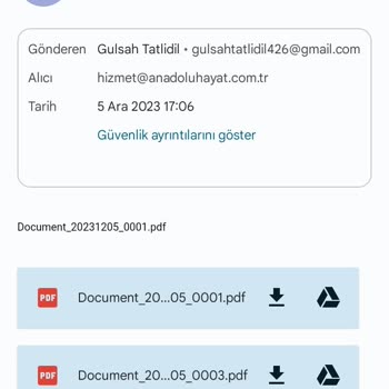 Ahe BES İptal Talebi Hk.