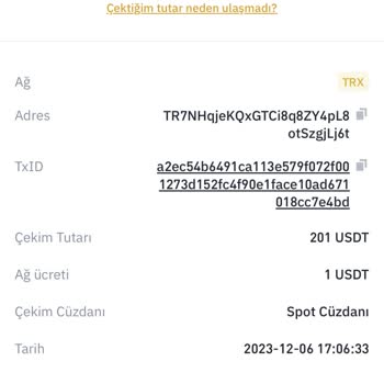 Binance Kucoine Yanlış Ağ İle USDT Transferi