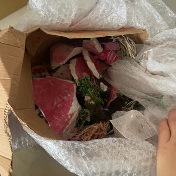 Sürat Kargo'nun İnsanlıktan Uzak Çalışanları