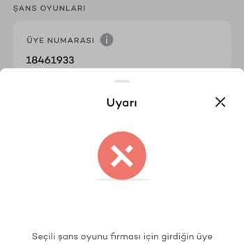 Akbank'tan Şans Oyunları Sitesine Para Transferinde Yaşanan Sorun