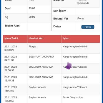Sürat Kargo Kargo Teslim Edilmemesi