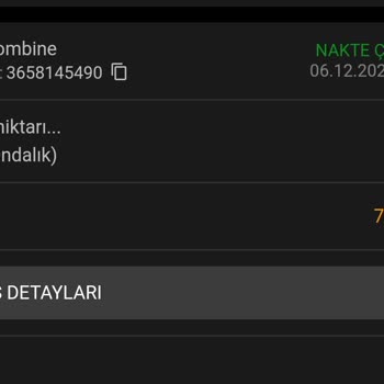 Tambet Sitesinin Haksız Kazanç Kısıtlaması