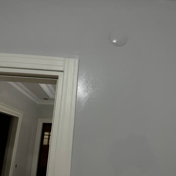 Marshall Tütsü Rengi Lila Mavi Karışımı Renk Ortaya Çıkıyor