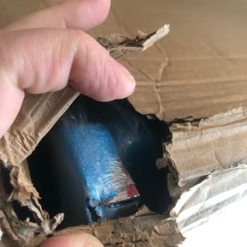 Aras Kargo Tazmin Süresi Diyerek Vurdumduymazlık Yapıyor