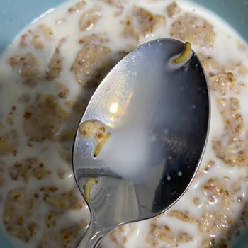 Nestle Nestlé Nesfit'te Şok! Kurtlu Ürün Skandalı