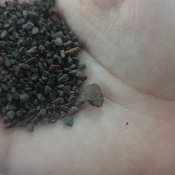 Nescafe Gold 2gr. X14lü Paket Bozuk Çıktı!