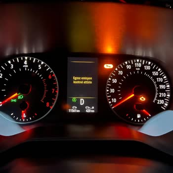 Renault Clio 5 Egzoz Emisyon Hatası