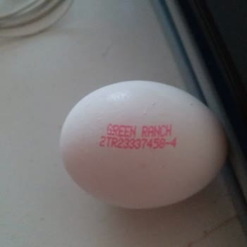 Şok Marketten Aldığım Doğa Yulaf Ezmesi Bozuk Çıktı