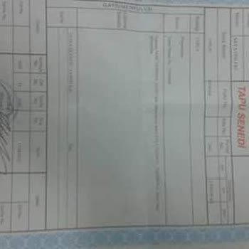 Bursa Yenişehir Belediyesi Tapu Alanımda Yaşanan Sorun!