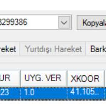 Çiçek Sepeti'nin Bol Nicelikli Ve Bol Niteliksiz İşleri