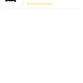Asil Kargo Teslim Edilmeme Sorunu