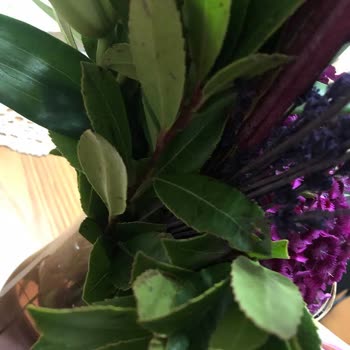 ÇiçekSepeti Eksik Kusurlu Ürün Satıp Yaşatılan Mağduriyet