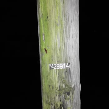 YEDAŞ Sokak Lambaları Yanmıyor