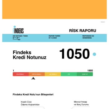 Findeks Risk Raporu Hata