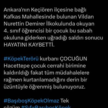 Keçiören Belediyesi Bağlum'daki Köpekler Korkutuyor!