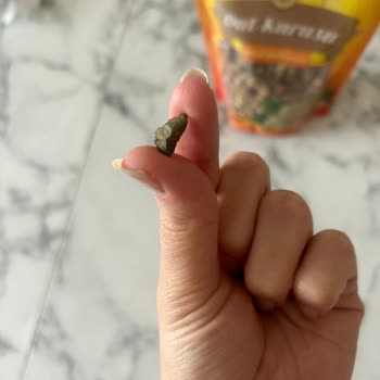 Çerezya İçinden Taş Çıkan Dut Kurusu