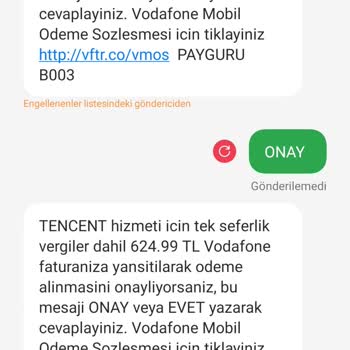 Payguru Yasal Olmayan Edinilmiş Ödeme