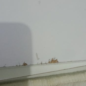 Eportatif.com Defolu Kırık Ürün Göndermeleri.