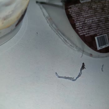 Özsüt Ürünlerinde Yabancı Cisim