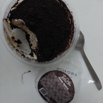 Özsüt Ürünlerinde Yabancı Cisim