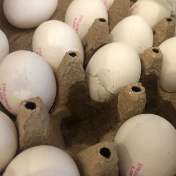 File Market Paketleme Ve Kırık Yumurtalar