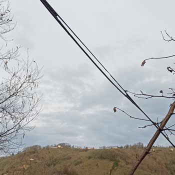 Türk Telekom Arızalı Telefon Ve İnternet Ana Kablosu
