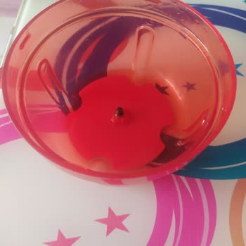 Tupperware Doğrayıcım Kırıldı, Garanti Sorunu!