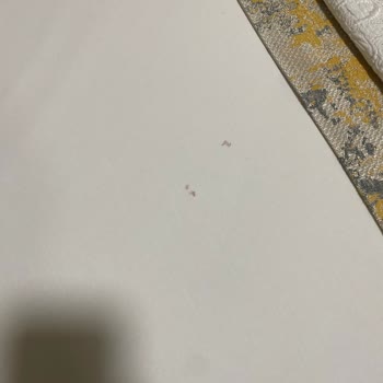 Otelz Otel Rezervasyonu Hayal Kırıklığı